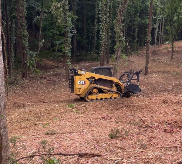 Forestry Mulching