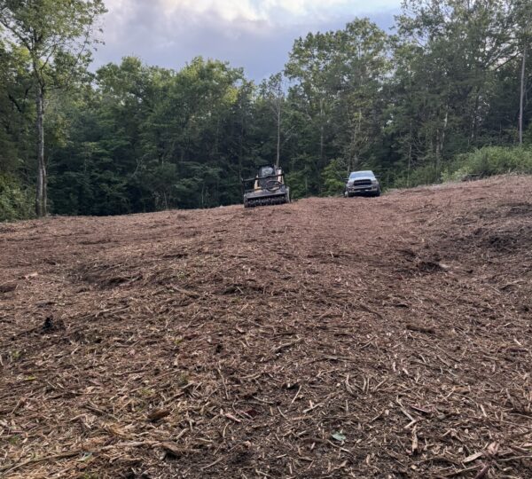 Forestry Mulching